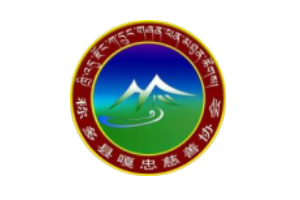 称多县嘎忠慈善协会