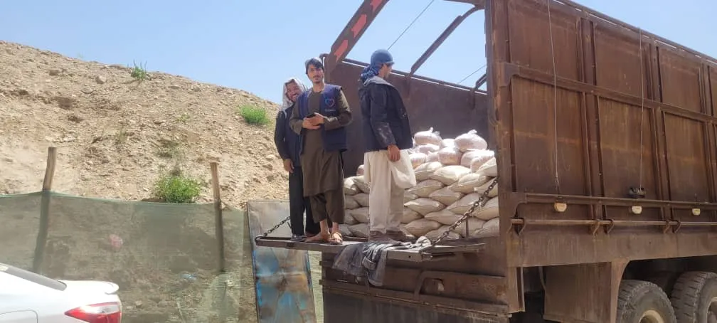 他在阿富汗,目睹悲伤与痛苦 他在阿富汗,目睹悲伤与痛苦