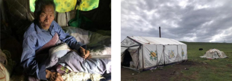 2023年6月游牧家庭调研 2023年6月游牧家庭调研